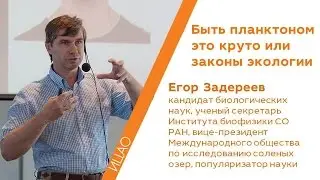 Быть планктоном это круто или законы экологии - Егор Задереев