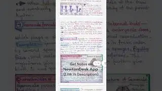 Reproduction Class 12 - Biology Handwritten Notes for NEET 📚✌️| Shorts | #shorts #biology #notes