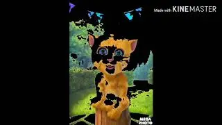 Talking Ginger effects 6 (KineMaster Version)