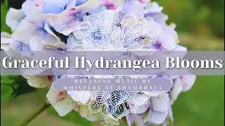 ᛉ Graceful Hydrangea Blooms ᛉ | Whispers of Shambhala ᛉ