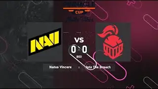 Natus Vincere vs. Into The Breach - Pinnacle Cup: Malta Vibes | BO3 @4liver