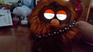 Furbacca