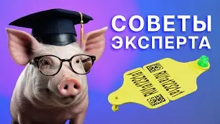 Как правильно выбрать ушную бирку?
