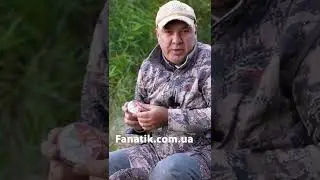 Леска на карася