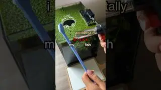 How I Accidentally broke my Fish tank 🪨