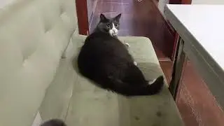Ну, что опять не так!?