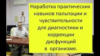 1 группа 1 ступень. 21 - 22 июля 2022г Наработка пальпаторных навыков.