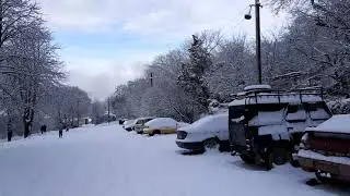 Прогулки по Научному