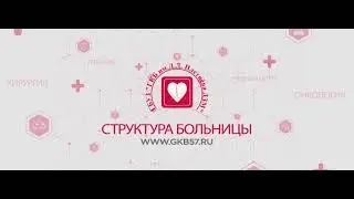 Структура Больницы имени Плетнева - Отрывок