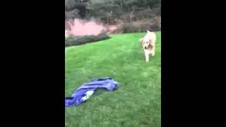 How to play Sadie