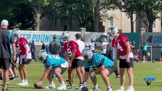 Bryce Young Impresses at Panthers' OTAs