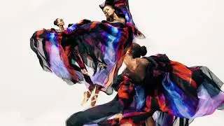 India Bradley/Sebring Revolution/Iris Van Herpen