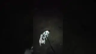о дрт