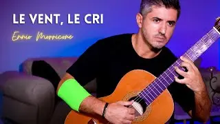 Le vent le cri by Ennio Morricone | Fingerstyle Guitar Cover
