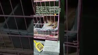 Sekarang mereka bahagia