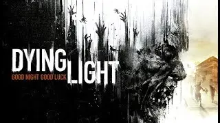 Dying Light / Xeon E5-2650 v2 / RX 570 / FPS TEST