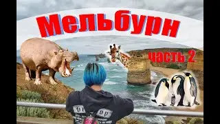 МЕЛЬБУРН часть 2 || 12 Апостолов, Зоопарки, Great Ocean Road, ПИНГВИНЫ