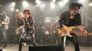 IRDIA 2022/11/25 目黒ライブステーション
