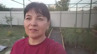 Не могу себя остановить . Садовый центр .