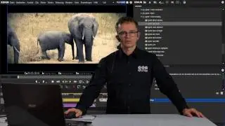 HitFilm Ignite Pro für Grass Valley EDIUS, Adobe Premiere u.a.