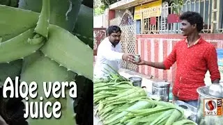 HOW TO ? Aloe vera juice - chennai Road Shop