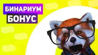 [ЛУЧШИЙ] BINARIUM БОНУС. КАК ПОЛУЧИТЬ БОНУС НА БИНАРИУМ