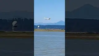 Літак Boeing 737 MAX 8