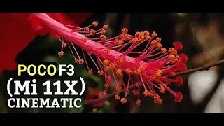 POCO F3 (Mi 11x) Cinematic Video