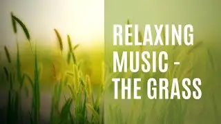 Relaxing Music Video - The Grass