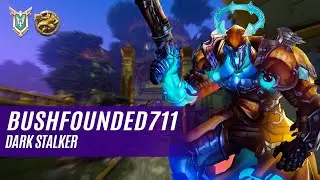 BushFounded711 ANDROXUS PALADINS COMPETITIVE (MASTER) DARK STALKER