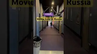 Animal Movie in Russia | Mbbs In Russia #animalmovie #ranbirkapoor #bollywood #animalranbirkapoor
