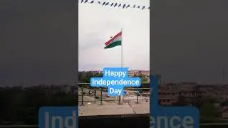 Tiranga Independence Day 