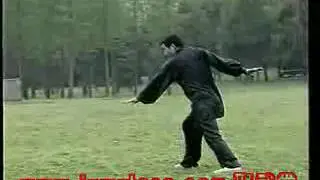 秘传心意六合拳 教学 Mi Chuan Xinyi Liuhe Quan 11/13
