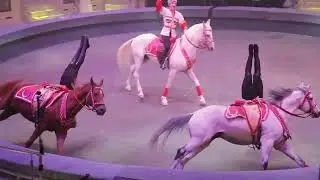 Цирк зажигает огни