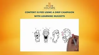 NoMoreCourses: What is the Kano effect? Change behaviour in customer service, delight your customers