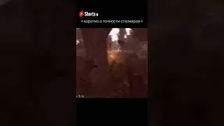 Коротко о точности сталкеров в STALKER