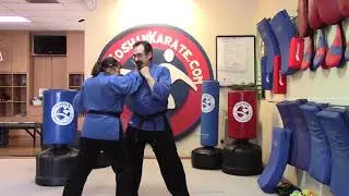 Goshin Karate - Online Library #113