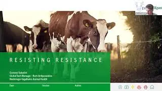 An educational parasitology session for BVDzero&WAB Scholarship  Vet Students: Resisting Resistance