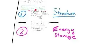 Cell beginning