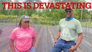 THIS IS DEVASTATING! An Entire Years Crop IS GONE!