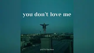 You Don't Love Me (ft. Hanoiachi)