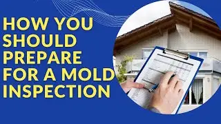 How Should You Prepare For A Mold Inspection? (Mold Testing Rehoboth Beach Delaware)