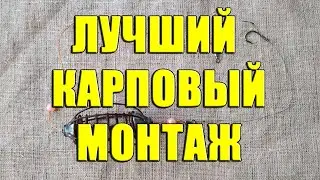 Простой эффективный карповый монтаж. Лучший карповый монтаж своими руками