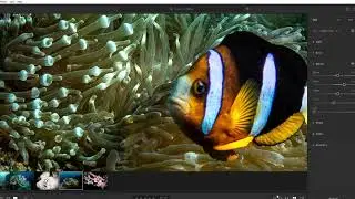 Post-Processing for Beginners: Working with RAW Files (6/6)