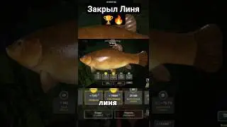 Закрыл Линя, трофей🏆🔥Старый Острог | Русская рыбалка 4 