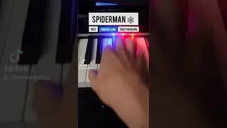 Spiderman but it's the multiverse