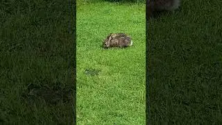 Não pára de comer, meu deus.