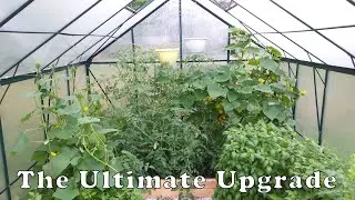 The Biggest GAME CHANGER in Gardening - Self Sufficient Vlog #4