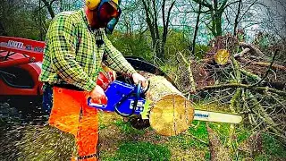 Buying a MASSIVE Chainsaw on Amazon-  Holzfforma G660