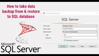 How to take data backup from Microsoft SQL Server Database